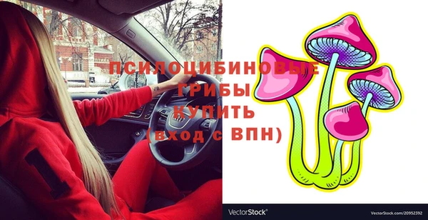 МДПВ Алексеевка