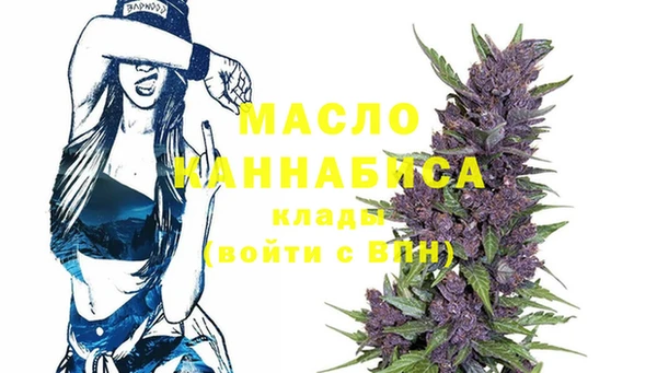 гидра Абаза