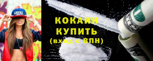 гидра Абаза