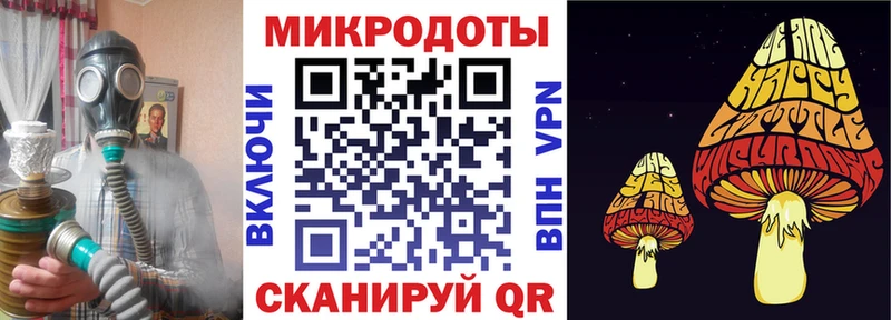 Галлюциногенные грибы мухоморы  купить наркотик  Конаково 